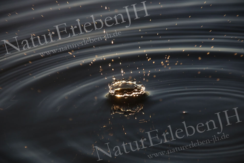 Wassertropfen-Explosion