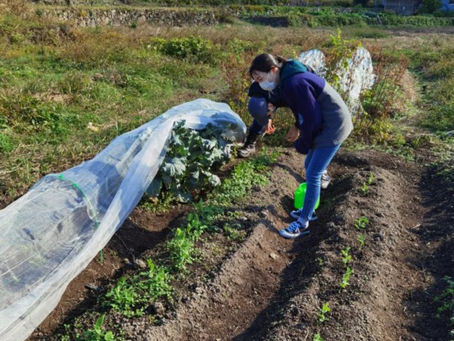 PosPos Compost