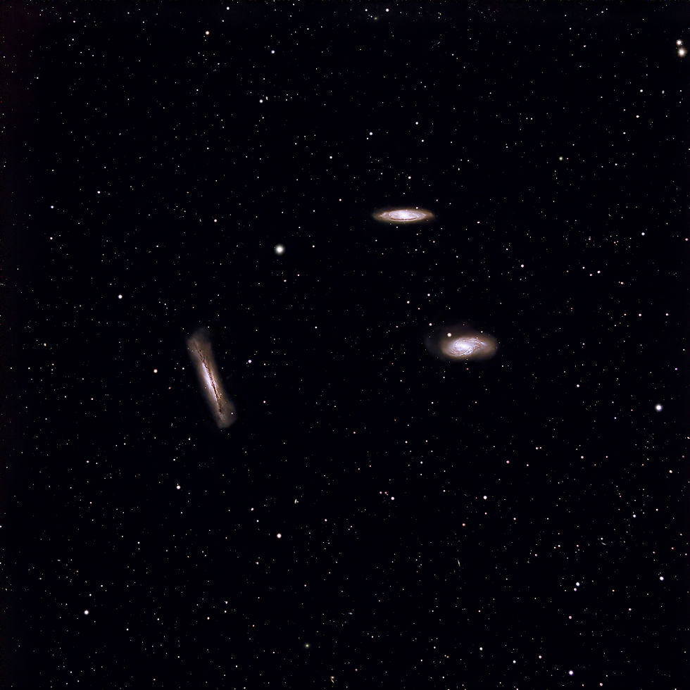 Leo Triplet