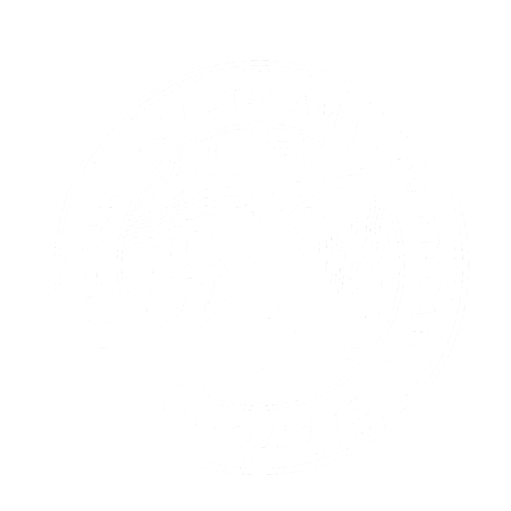 logo gv atacama gestão de recursos