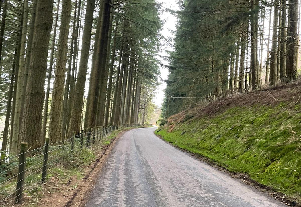 20220421_115038000_iOS 1.jpg