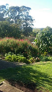 View from Bantam Room 1 at The Roost accommodation in Waiuku