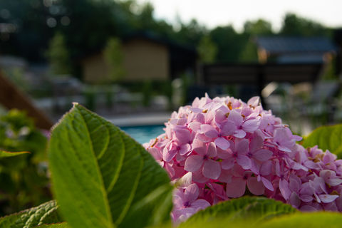 CTP_7596.jpg