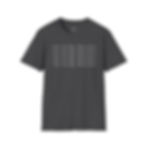 I Will Not Buy More Discs - Chalkboard Color Cotton T-Shirt