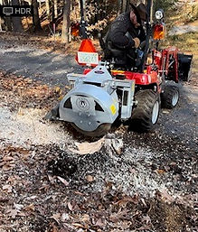Stump5.jpg