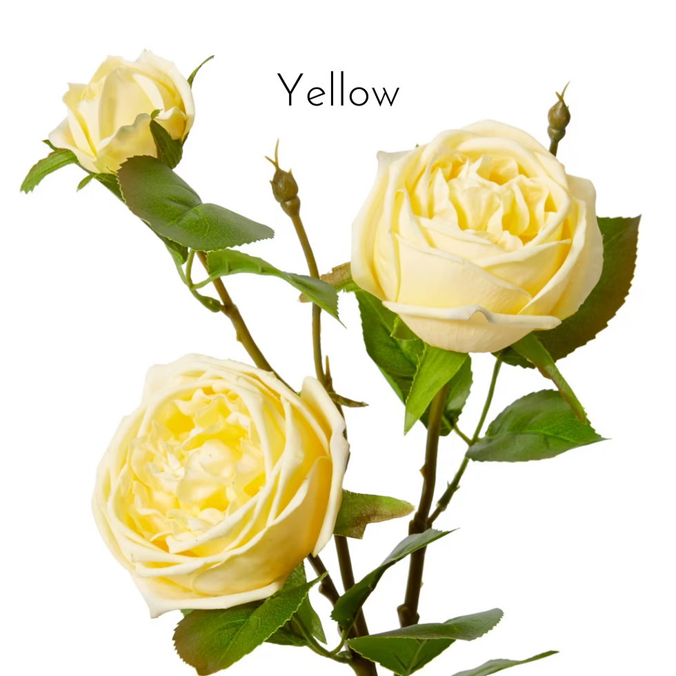 Thumbnail: Cake Flowers - David Austin Collection