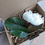 Thumbnail: Sweet Magnolia sample box featuring magnolia flower samples and foliage – faux wedding flowers colour test kit
