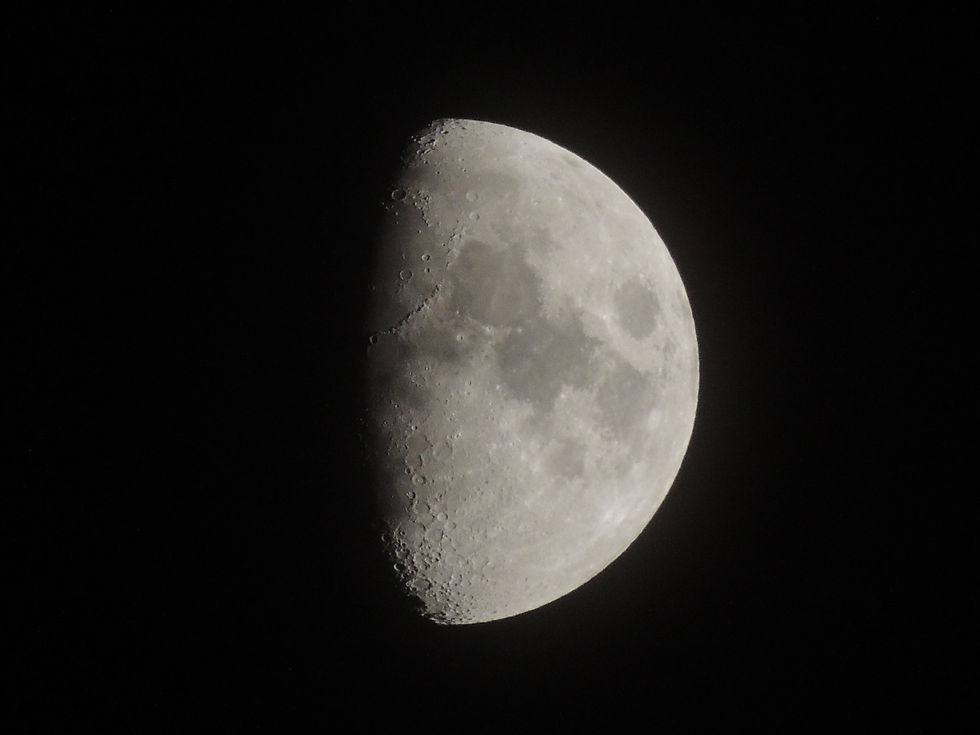 DSCN1202.JPG