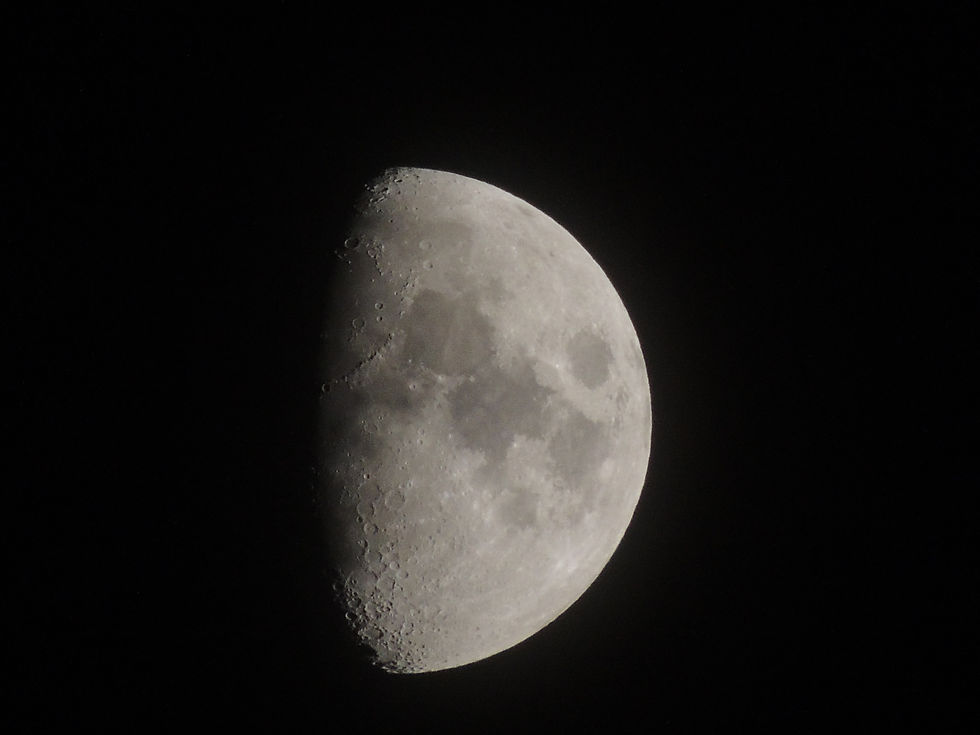 DSCN1203.JPG