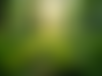 The Importance of Sustainable Living in Today's World