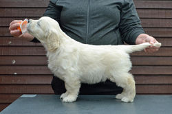 448942287_10231259109476630_9084250207983274180_n