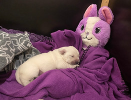 IMG_8973.JPEG