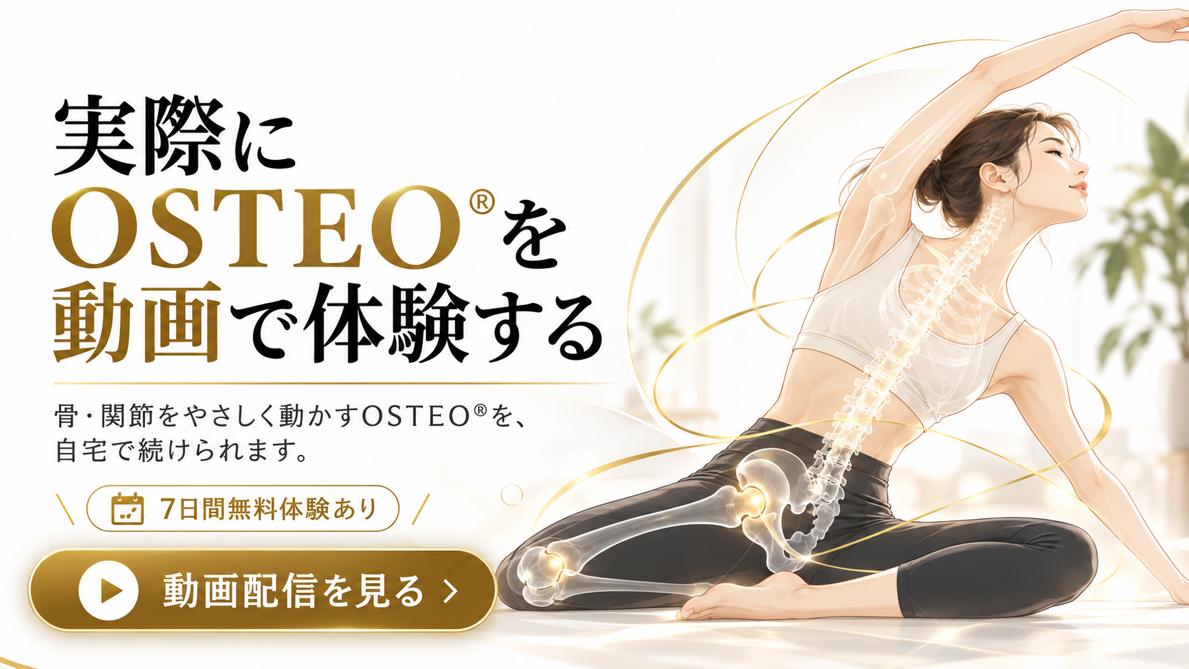 OSTEO®動画配信