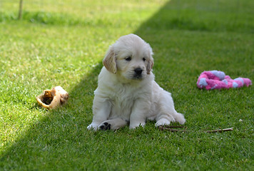 DSC_0096.JPG