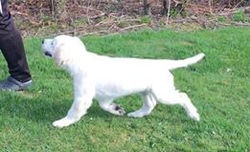 31960098_10215182684696058_4687638447723118592_n