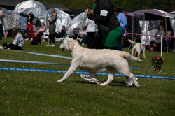 image00149