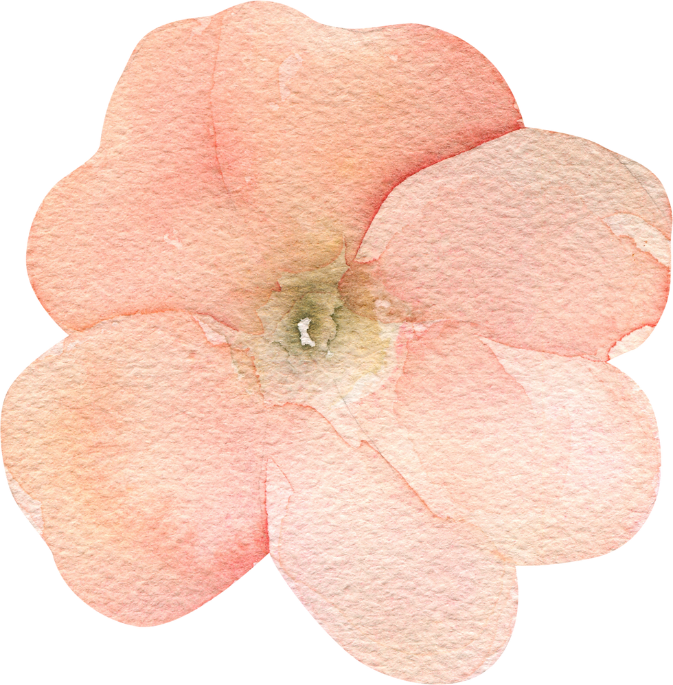 3.png