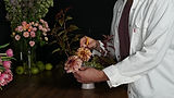 C0205158.JPG