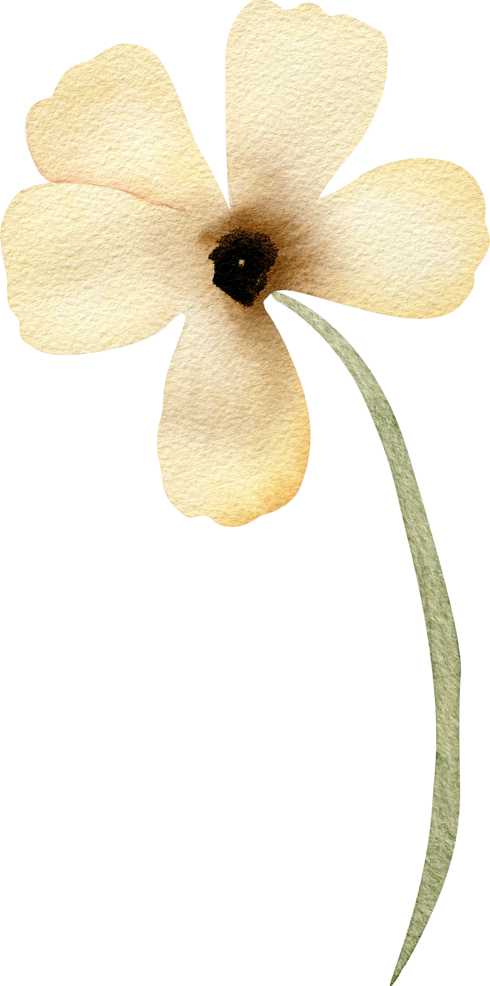 34.png