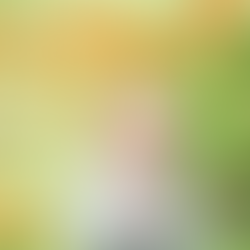 ALIMENTAZIONE COMPLEMENTARE dallo svezzamento tradizionale al Baby Led Weaning