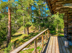 puiden harvennus rakennusten läheltä