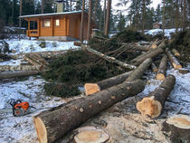 Näkymä maisemaharvennuksen aikana kesämökkitontilla Skåldön saaressa