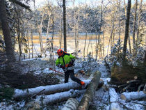 Näkymä maisemaharvennuksen aikana kesämökkitontilla Skåldön saaressa