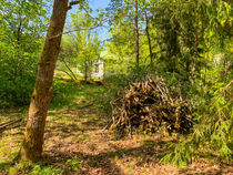 Näkymä työn aikana: maisemaharvennus Raaseporissa