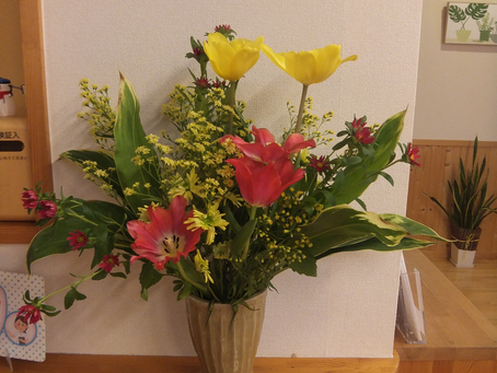 今日の花 チューリップ、アスター、ソリダコ、ドラセナ