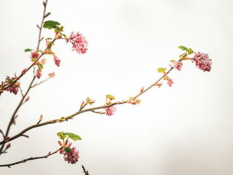 Understanding Enterprise Risk Management for Your Business