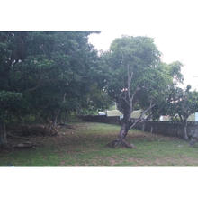 Property space