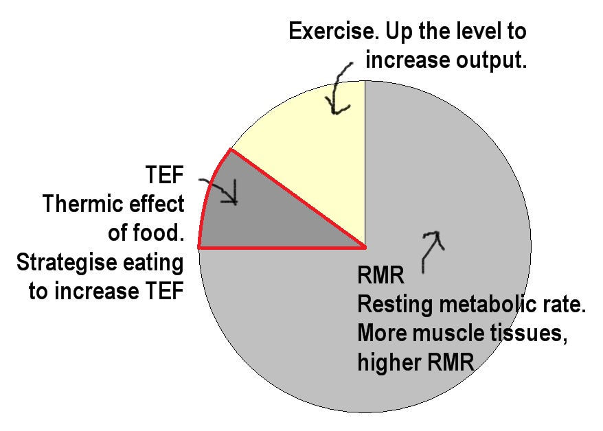How To Really Lose Weight Thermic Effect of Food (Part 3/5)
