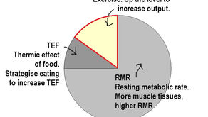 How To Really Lose Weight - NEAT + HIIT (Part 4/5)