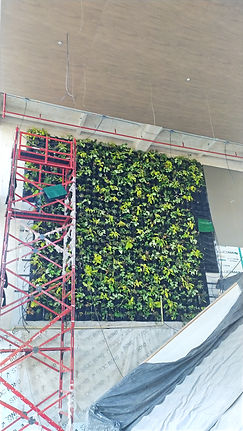 Instalacion Jardin Vertical Alturas Medellin_edited.jpg