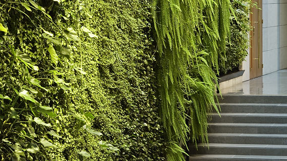 jardines verticales colombia entrada escaleras 23.jpg