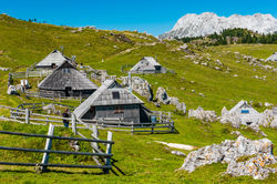 Velika Planina