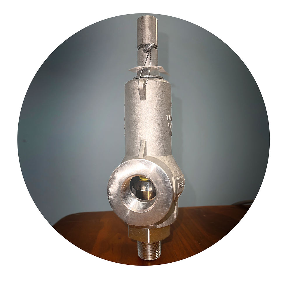 Taylor Valve