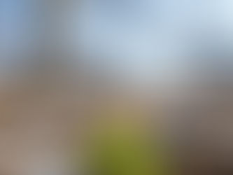 The Faith of Spring, A Poetic Narrative