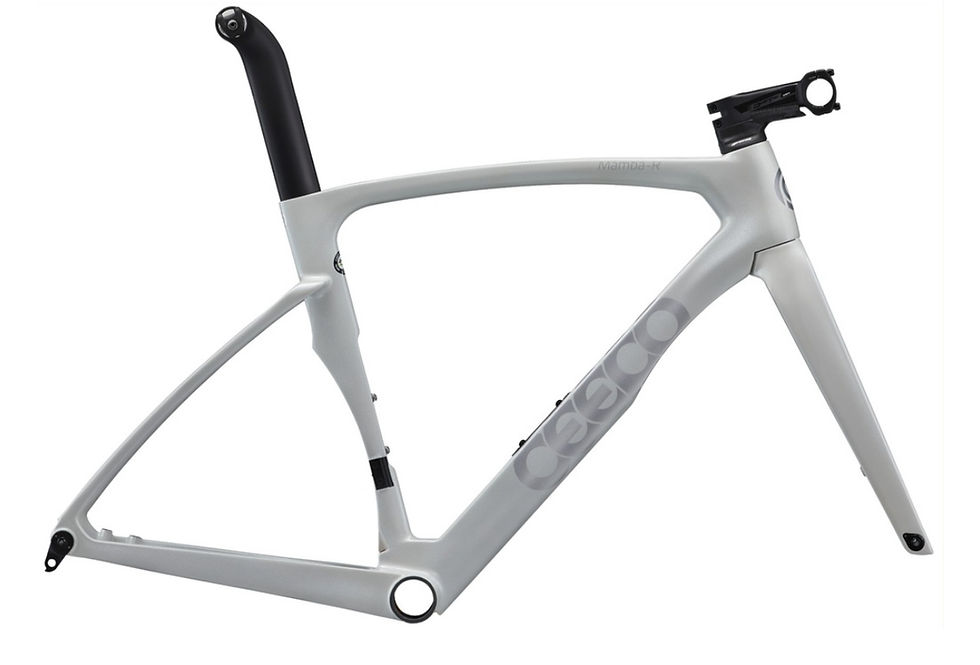 Miniature : CEEPO Mamba-R 2026