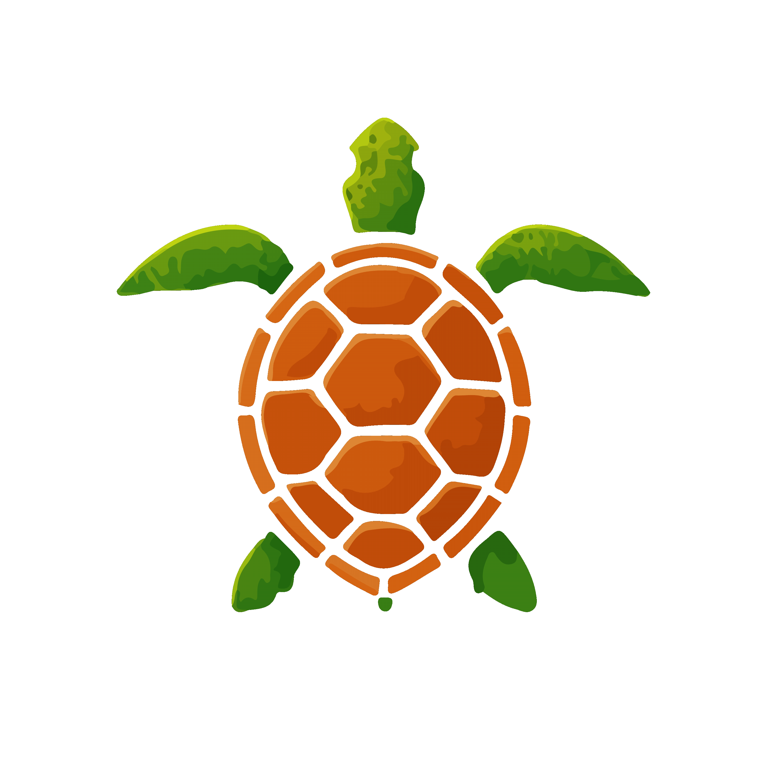 TurtleDesignStudio