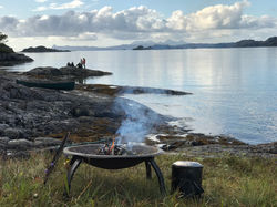 Coastal foraging experience Moidart