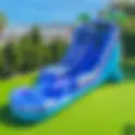 22Ft Twin Tides Dual Lane Water Slide
