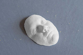 FLR07032.jpg