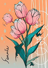 イラスト360 15_edited.jpg