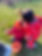 22651668632595_.pic_hd.jpg