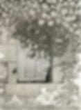 French door