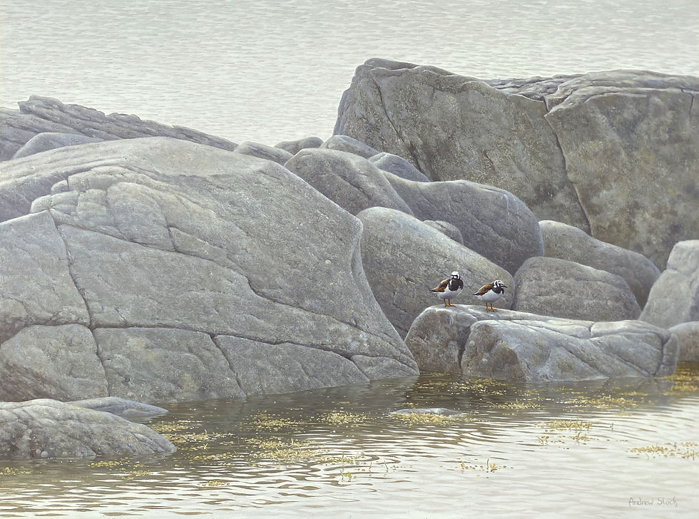 Rising tide, oil, 41 x 61 cm
