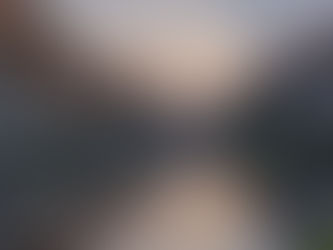 🌸 Things to Do in Leiden – A Chill City Full of Surprises