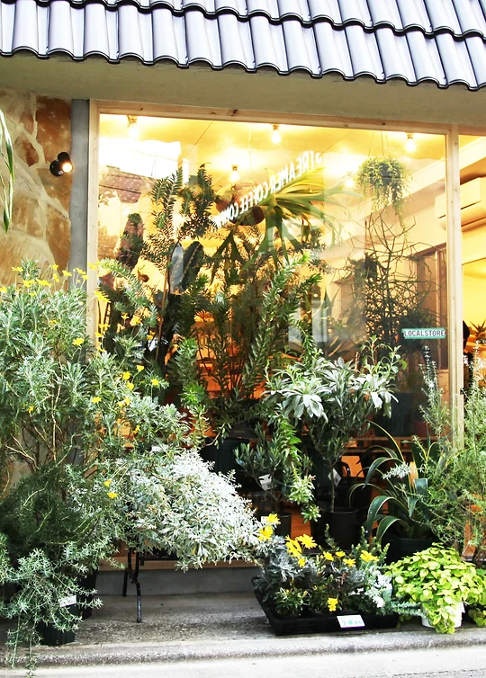 学芸大学のグリーンショップ Localstore 学芸大学のグリーンショップ Localstore