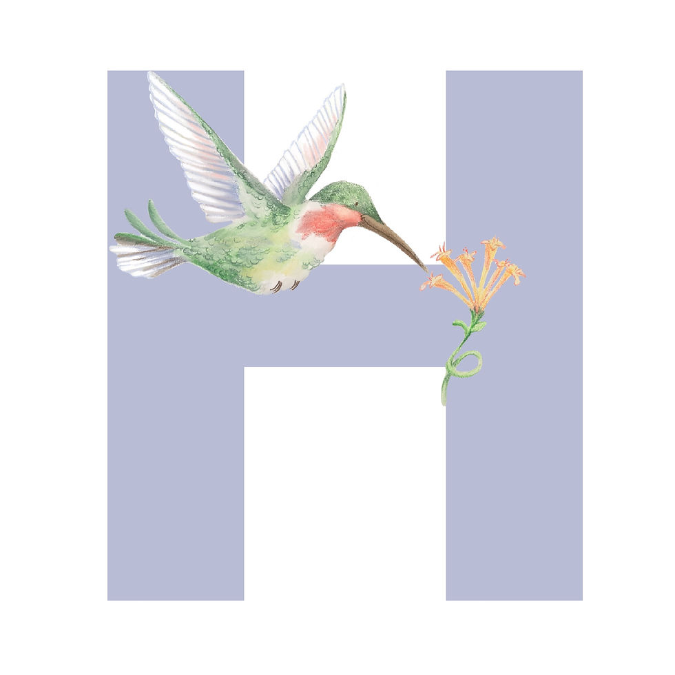 Thumbnail: Alphabet Animals A - L